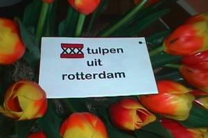 De Column van Vrijdag: Tulpen uit Rotterdam